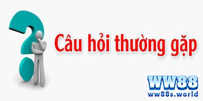 Câu hỏi thường gặp